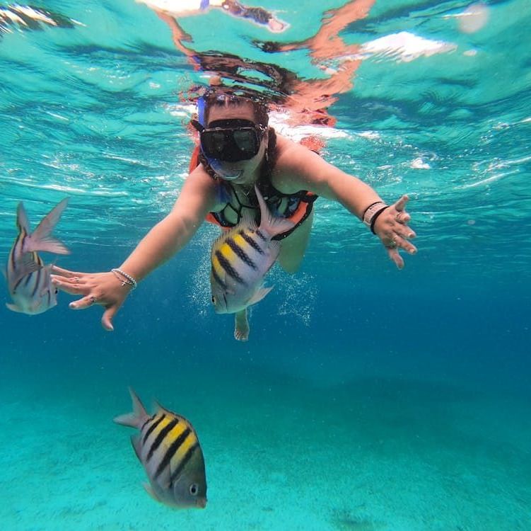Woman snorkeling underwater with tropical fishes swimming nearby | Tamarind Hills Resort and Villas - Antigua